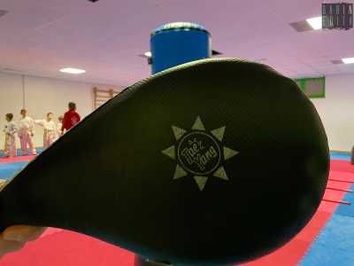 ...e sul cuscinetto nero noto come �colpitore�